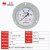 红旗仪表氧气专用YO-100ZT轴向带边氧气压力表禁油压力表测氧专用 0-1.6MPA