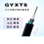 GYXTS-8b1.3单模光纤一圈钢丝铠装4/6/12芯室外林区鸟啄防鼠光缆 GYXTS-4芯