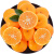 鲜火新鲜沃柑 橘子柑橘新鲜水果应季礼盒新鲜生鲜整箱水果柑桔 甄选9斤装(75-80mm)