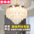 爱美者水晶风扇灯吊扇灯客厅餐厅吊灯轻奢金色隐形带灯扇一体2024年新款 翼羽-48寸强风 语音控制