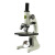 敏捷 小高初中生用光学显微镜生物教学实验光学科普显微镜仪器厂家批发 凤凰XSP-02200W像素电子目镜