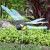 户外花园摆件摆设仿真动物玻璃钢雕塑园林别墅景观装饰工艺品 铁艺翅膀蜻蜓4号