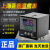 上海亚泰NE-6411-2仪表温控器NE6000-2温控仪NE-5411数 NE64112D(N) K 600度