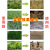 丰匠草甘磷除草烂根剂果园荒地除杂草农药草甘膦除草剂批发 20.0包 10套(含氯氟)