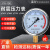 富阳华仪仪表不锈钢耐震压力表yn100油压液压表1.6mpa带油气压表 0-0.4MPA=4公斤 M20*1.5