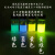 CPPO化学发光液体实验四色套装溶液自制荧光棒趣味科学 红黄绿蓝四色一套(反应液共200mL)