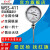 红旗仪表WSS-301/WSSN-411耐震电接点双金属温度计径轴向温度计 每增加100mm加价2.5元