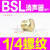 SMC型消声器AN05-M5/AN10-01/20-02/30-03/40-04可调消音器A BSL-02(平头) 国产消声器