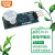 有源蜂鸣器模块 低电平触发 蜂鸣器控制板 5V 适用于Arduino/51