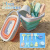 大手牵小手折叠桶沙滩玩具套装便携麦秆色夏天海边玩具戏水挖沙工具便携挖沙 橙色折叠桶套装-网袋装11PCS