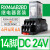 适用继电器中间RXM2LB2BD/DC24V交流220伏带底座8脚4AB/P7中继 14脚6A DC24V 配底座 RXM4AB2BD