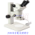 江南JSZ6体视显微镜（生物解剖镜）/8-50倍放大/高清晰大景深 永新三目透反射