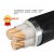 官方珠江电缆YJV22国标2 3 4 5芯4 6 10 25 35平方芯铠装电线 YJV22 国标2芯X4平方 1米