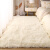 奔迪 BEUDIT地毯卧室边毯客厅满铺大面积毛地毯自家用少女房间ins风高级毯 扎染枚红(加厚加密) 50x160厘米