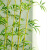 古达仿真竹子室内装饰造景屏风隔断室外围栏人造假竹子仿真植物盆栽 1.5米【高仿细水竹】真竹无膜 10根起发