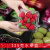 一次性水果盒 超市一次性水果包装盒透明塑料盒水果500M水果店一 2518H6透明约3斤装-100个