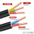 沈缆红星 电线电缆YJV 2*4平方两芯硬线国标阻燃电缆线铜芯电源线 1米