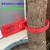 定制加长园林塑料封条一次性围树绑扎带苗木记号标签标识锁扣50CM 桔色
