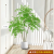 雅致仿真绿植高端轻奢仿生植物室内装饰花客厅摆件1.6米南天竹+白圆盆