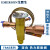 原装EMERSON艾默生热力膨胀阀TRAE-8-10-12-15HCA空调热泵双向R22 TRAE8HCA (接口16*22)