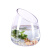 贝拉缘圆形玻璃水培植物花瓶透明斜口鱼缸斜口绿萝水培花盆水培器皿水族 35号斜口(送彩石6件套)大底 中等