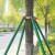 汇一汇 镀锌钢树木支撑架 防护撑杆固定器 2米42管1.2MM厚四脚38*1.2米绑带