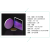 GMH12-紫外铝反射镜K9高精度平面金属膜 UV紫外反射镜波长200-110 GMH12-025A-UVAL 尺寸25.4V