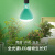 GE通用电气 禧翠LED单光谱植物生长灯(开花结果) E27螺口 BR40 27W