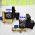 电子排水器20W 0200D AC220V/TEST/RPT自动排水阀1/2口径-16B连体 分体全套