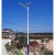 路灯锂电池 5米6米大功率乡村户外双头LED高杆灯 5米30W 锥形杆