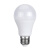 天逸 低压led灯泡 E27螺口 60V 9W 白光 （单位：个）