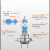 新激光夜行者大灯12v近光灯H11H4H7HB3远光灯卤素汽车灯泡 新激光夜行者(增亮150%；增距150米；增白20 近光灯 x HB3/9005 12v 60w