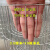 镀锌铁丝网钢丝网鸟笼材料防护网养殖鸽棚围网网片围栏镀锌网加密 0.31米高2.5*10厘米孔2.0粗每米