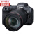 【国行】佳能(Canon)EOS R5 8K旗舰型全画幅专业微单128G出行套餐 R5 24-105USM镜头套装 128G出行套餐