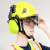 立始安全帽 多功能工地护目防砸安全帽 隔音降噪耳罩 新国标 建筑工程 黄色帽+透明镜+G07E耳罩
