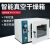 电热恒温真空干燥箱实验室用真空烘箱工业真空烤箱测漏 DZF-2B+泵(2L)