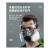 HKFZ防毒防尘工业粉尘面具全面罩喷漆呼吸防护罩防烟全脸 打农双罐防尘毒7件套