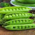 河南特产新鲜蔬菜农家自种豌豆荚甜豌豆水果豌豆颗粒饱满营养素食 【现摘现发】新鲜豌豆3斤