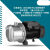 增压水泵BJZ60Hz不锈钢射流式自吸泵喷射泵三相380V220V 国内550w380v/50hz