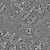 遄运单分散聚甲基丙烯酸甲酯微球 PMMA微球 微塑料（0.05—200微米） 1微米 2克