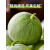 福瑞达绿宝甜瓜5斤新鲜水果当季整箱香瓜甜瓜新鲜绿宝石甜瓜蜜瓜10 1500g 超值装香甜可口高