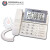 新高科美102来电显示电话机大屏幕可摇头商务办公用宝泰尔中诺 宝泰尔T272白色