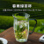 高茗高茗绿茶高档精致喝茶杯子高端个人专用透明加厚耐热花茶办公茶杯 春雨绿茶杯 360ml