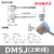 磁性开关接近二三线DMSG CMSG CMSJ CMSH气缸传感应器E防水 DMSJ-020 【2米线】