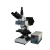 BM上海彼爱姆荧光显微镜XSP-BM-13C（三目、落射）
