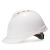德威狮  标准型ABS安全帽工地领导建筑工程头盔透气男 白色豪华型PE一指键