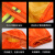 稳斯坦 分体式环卫反光雨衣雨裤 L/170橘色双条套装 路政保洁施工地防汛1133 WF003
