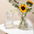 美克杰感简约创意不规则民宿花瓶透明玻璃客厅桌面插花水养装饰摆件 异形折纸透明