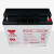 YUASA汤浅NP18-12免维护铅酸蓄电池UPS不间断电源EPS电源直流屏专用蓄电池