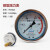 杭州仪表Y100Z压力表储气罐压力容器专用1.01.62.54.0MPa YN100Z耐震轴向01.0MPa
